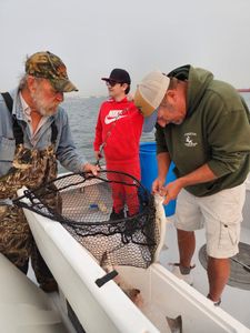 Maryland's Premier Fishing Charter, Striper Fish