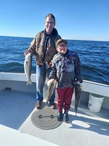 Excellent Striped Bass Fishing
