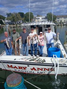 Another Great Day on the Water