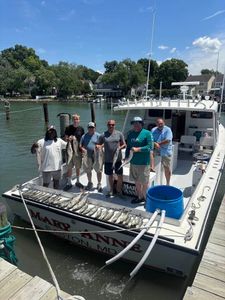 Local waters see a sharp rise in bluefish activity alongside steady mackerel catches.