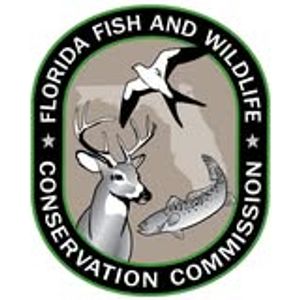 Florida Fishing License Information for Travelers and Anglers