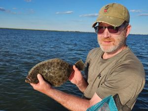 Fluke Bite Steady in the Back Bays