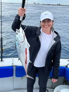 Palm beach fishing charters