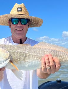 Galveston Redfish