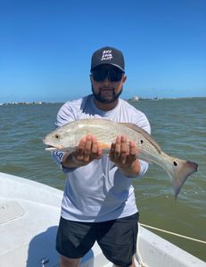Galveston, TX Redfish