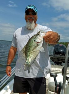 Close-Up with Crappie: Nature's Striped Beauty