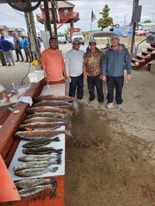 Red Fish Inshore Encounters
