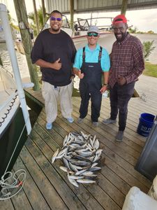 Louisiana Inshore Trout Fishing
