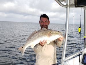 Louisiana redfish charters
