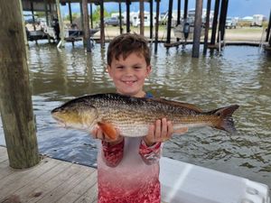 Inshore fishing amidst Louisiana's wonders