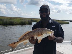 Redfish fishing in Louisiana