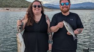 Lake Pleasant Fishing Report