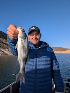 Unforgettable Moments on the Water: A No Limit Fishing Expedition to Remember!