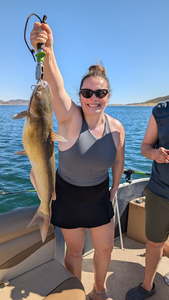 Lake Pleasant Spring Morning: Striped Bass & Catfish Action!