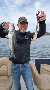 Lake Pleasant Winter Stripers: Joseph's Crew Lands Mixed Bag