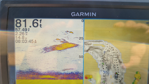 Lake Pleasant Striped Bass Charter - Top Morning Action with Jon!