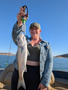 Reeling in the Stripers: A Thrilling Lake Pleasant Fishing Excursion