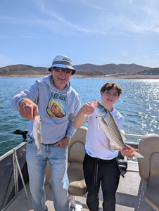 Striped Bass, Catfish Frenzy on Lake Pleasant: A Guided Fishing Trip