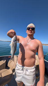 Striped Bass Success: at Lake Pleasant, AZ