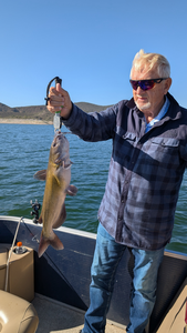 Lake Pleasant Catfish Action: Blue, Channel & White Cats Biting!