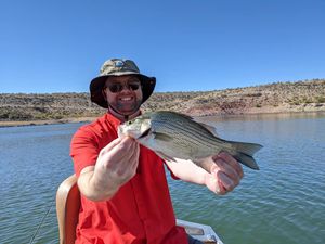 Wipers in Lake Pleasant: Arizona’s Hard-Fighting Hybrid Thriving