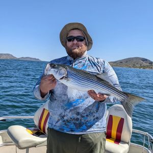 Striped Bass Capital of the West 
