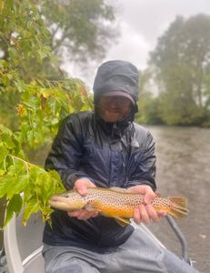 Guided Fly Fishing Trip Southern Vermont.