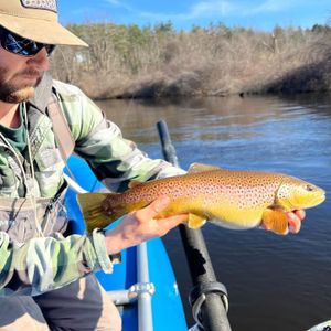 Fellow Guide Christian Betit with quality brown