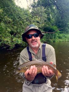 Dry Dropper = Vermont Brown Trout