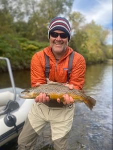 Fall Brown Trout Southern Vermont