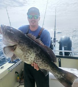 Grouper Bite Heating Up Ahead of Season Opener