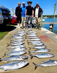 Bonito Bite Stays Hot Despite Choppy Conditions