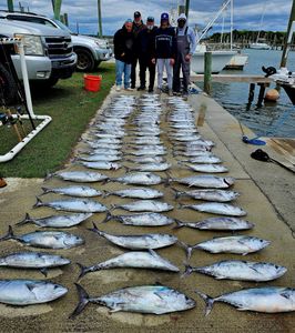 Nearshore Bonito Bite On Fire as Water Temps Hold Steady