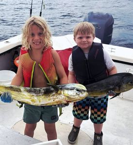 Summer Heat, Steady Bites – Wahoo, Mahi, Grouper & More!