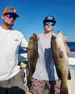 Strong Grouper Finish to Gag Season