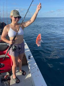 Hooked on Red Snapper!