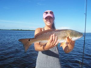 Homosassa, FL Reeled In this Nice Redfish