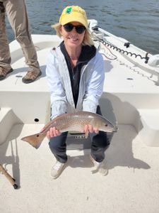 Feisty Redfish Action in Homosassa Waters