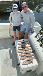 Miami Beach Grey Snapper Action with Bear Cut Bandit Charters