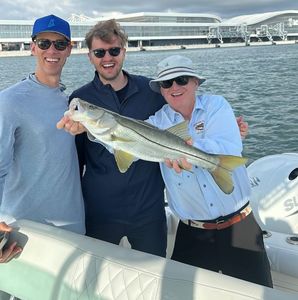 Miami Inshore Light Tackle Action