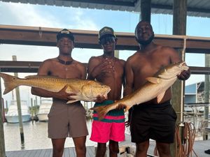 Port Arthur Canal Fishing Report