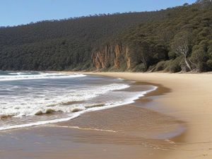 Things To Do in Port Arthur TX