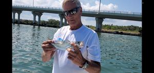 Tampa Bay Inshore Fishing Charters
