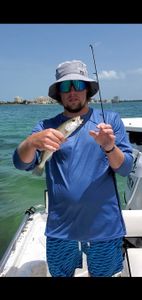 Trout Fishing Tampa Bay