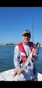 Deep Sea Fishing Tampa Bay