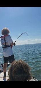Inshore Fishing Tampa Bay