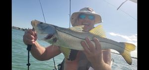 Tampa Offshore Fishing Charters