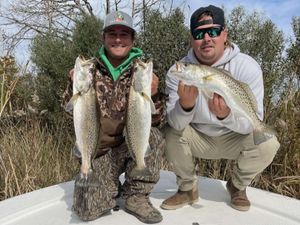 Speckled Trout in Swansboro: A visual delight.