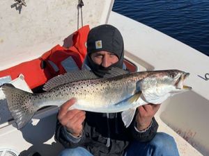 Swansboro Speckled trout gleams.