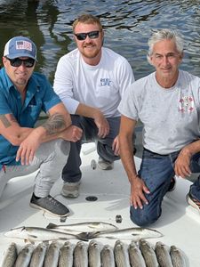 Swansboro trout coastal abundance 